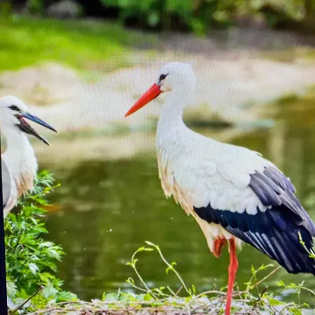 Mobil Clim 6 Personnes 3 Le Ried 3 Etoiles Proche Europa Park アパート *